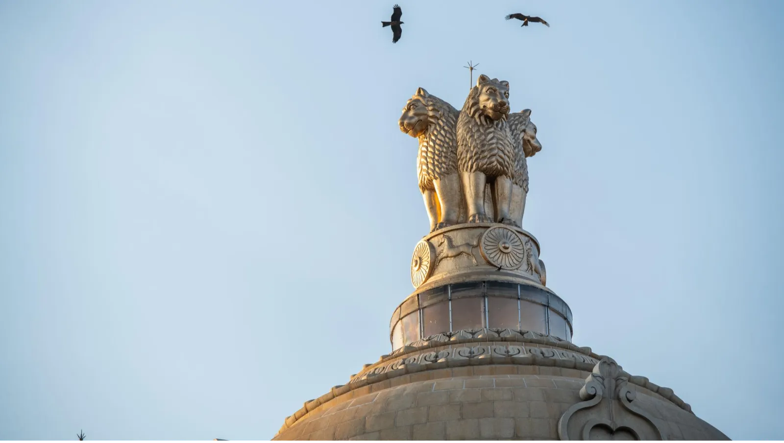 Ashoka Pillar Monument